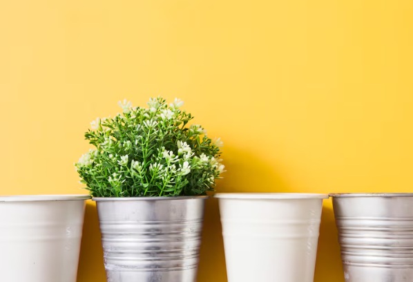 De voordelen van stalen plantenbakken in jouw tuin
